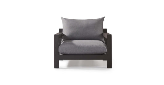 PACIFIC ARM CHAIR ALUMINUM ASTEROID